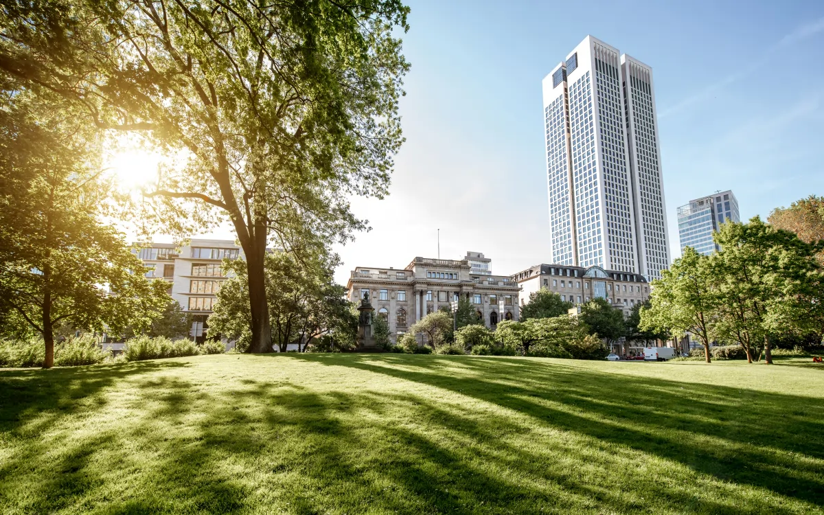 Sectors We Cover | Greenfields Corporate Services