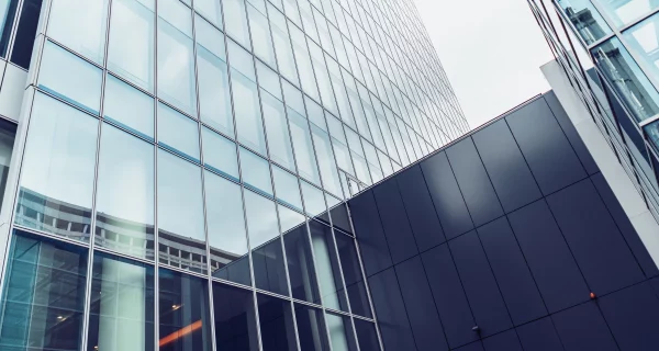 From An Empty Address To A Thriving Presence In Germany